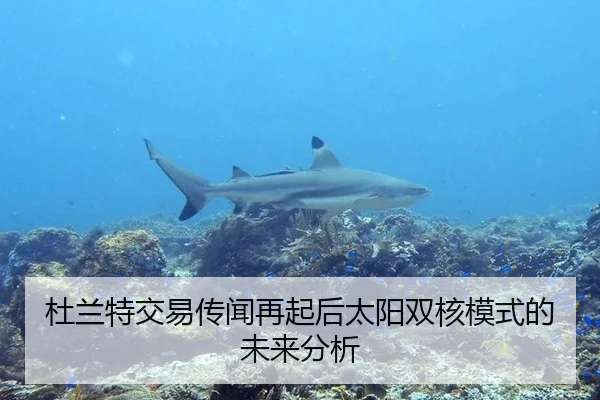 杜兰特交易传闻再起后太阳双核模式的未来分析